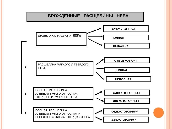    ВРОЖДЕННЫЕ  РАСЩЕЛИНЫ  НЕБА РАСЩЕЛИНА МЯГКОГО  НЕБА  