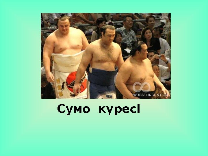 Сумо күресі 