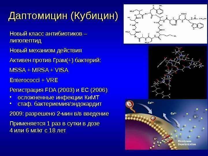 Даптомицин (Кубицин) Новый класс антибиотиков – липопептид Новый механизм действия Активен против Грам(+) бактерий: