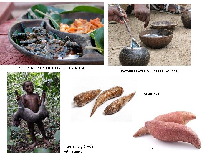 Копченые гусеницы, подают с соусом Кухонная утварь и пища зулусов Пигмей с убитой обезьяной