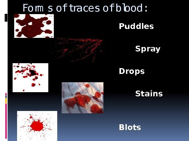 Form s of traces of blood: Puddles Spray Drops Stains Blots 