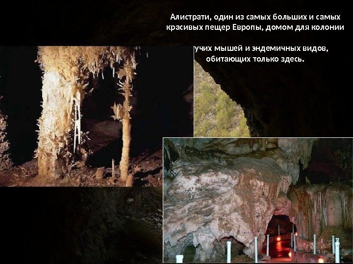 Алистрати, один из самых больших и самых красивых пещер Европы, домом для колонии 
