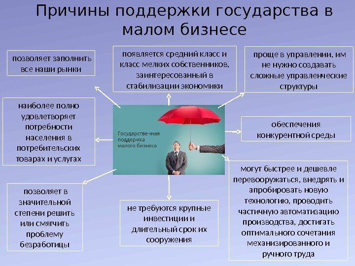 Причины поддержки государства в малом бизнесе  позволяет заполнить все наши рынки наиболее полно