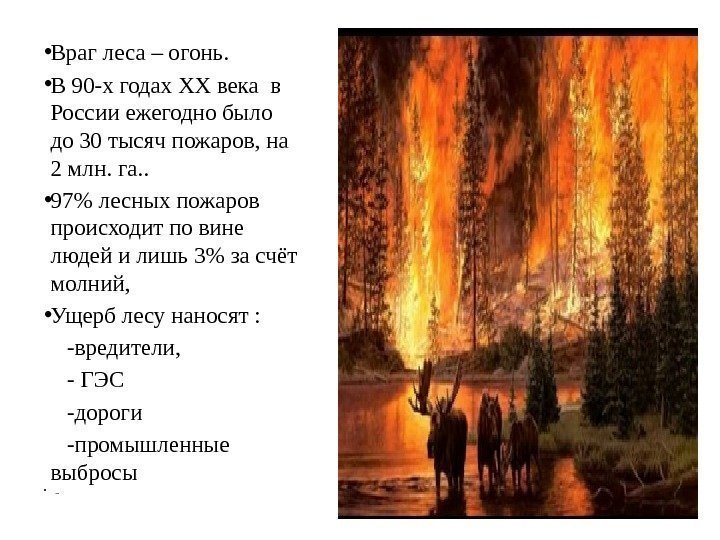  • Враг леса – огонь. • В 90 -х годах XX века в