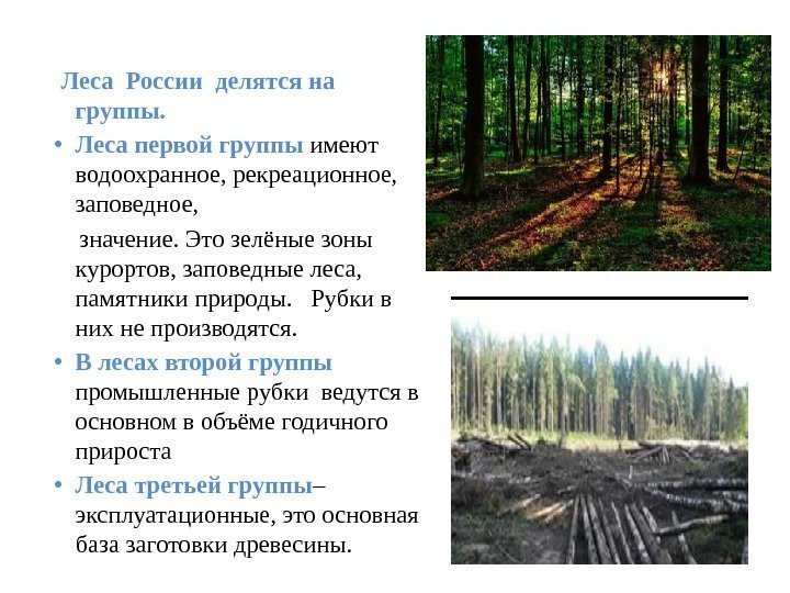  Леса России делятся на группы. • Леса первой группы имеют водоохранное, рекреационное, 