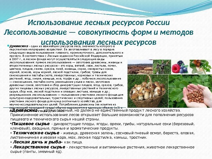 Использование лесных ресурсов России Лесопользование — совокупность форм и методов использования лесных ресурсов Древесина