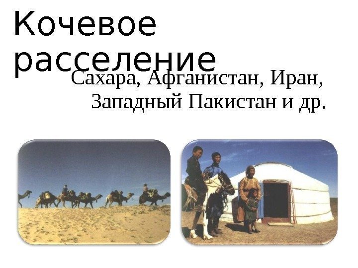 Кочевое расселение Сахара, Афганистан, Иран,  Западный Пакистан и др. 