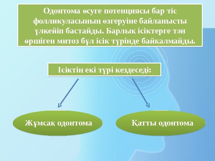 Ісікті екі т рі кездеседі: ң ү Ж мса одонтома ұ қ атты одонтомаҚОдонтома