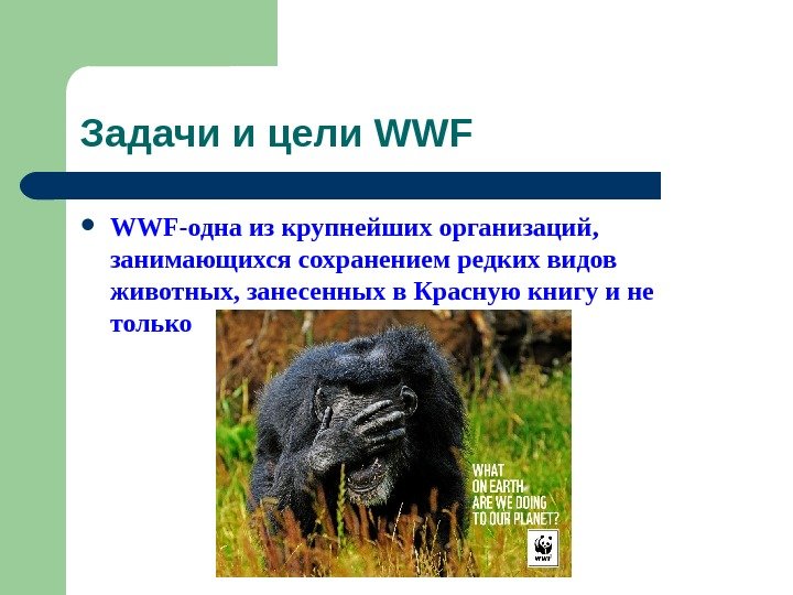   Задачи и цели WWF- одна из крупнейших организаций,  занимающихся сохранением редких