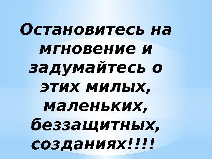 Остановитесь на мгновение и задумайтесь о этих милых,  маленьких,  беззащитных,  созданиях!!!!