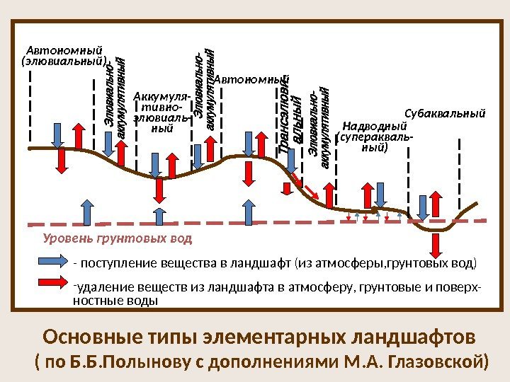 Автономный (элювиальный) Аккумуля- тивно- элювиаль- ный Автономный Надводный (суперакваль- ный) Субаквальный Уровень грунтовых вод