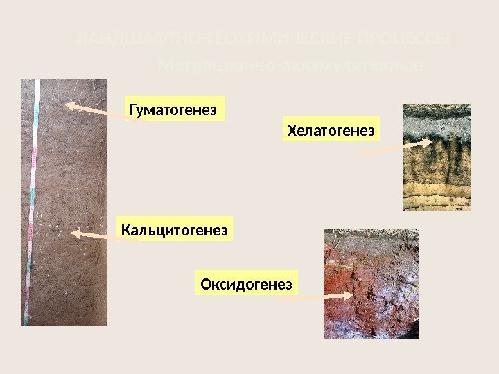 Хелатогенез Оксидогенез. Гуматогенез  Кальцитогенез Миграционно-аккумулятивные. ЛАНДШАФТНО-ГЕОХИМИЧЕСКИЕ ПРОЦЕССЫ 