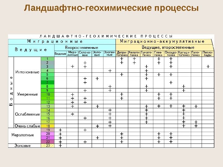 Ландшафтно-геохимические процессы 