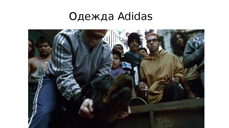 Одежда Adidas 