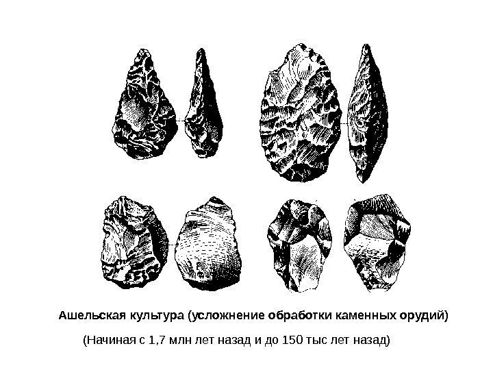 Ашельская культура (усложнение обработки каменных орудий) (Начиная с 1, 7 млн лет назад и