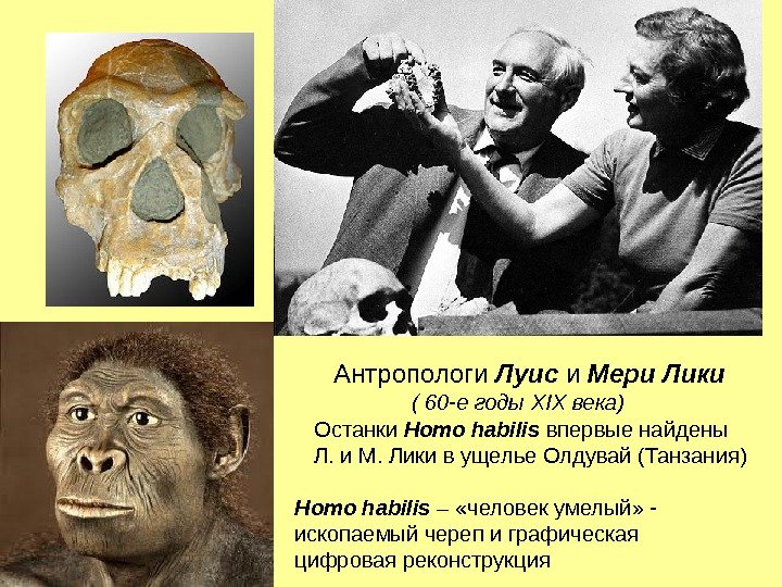 Антропологи Луис и Мери Лики   ( 60 -е годы XIX века) Homo