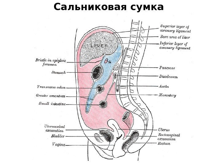 Сальниковая сумка 