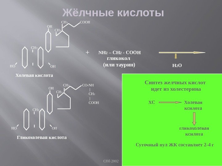 СПб 2002 25 Жёлчные кислоты ОННО ОН СН 3 СООН Холевая кислота NH 2