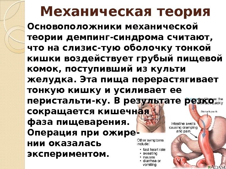 Основоположники механической теории демпинг-синдрома считают,  что на слизис-тую оболочку тонкой кишки воздействует грубый