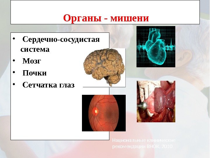  Органы - мишени •  Сердечно-сосудистая система •  Мозг •  Почки