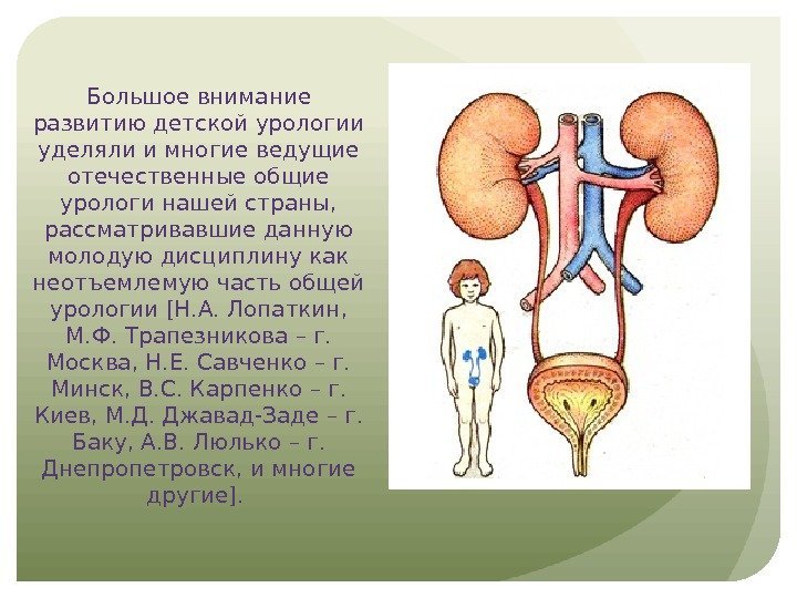 Большое внимание развитию детской урологии уделяли и многие ведущие отечественные общие урологи нашей страны,