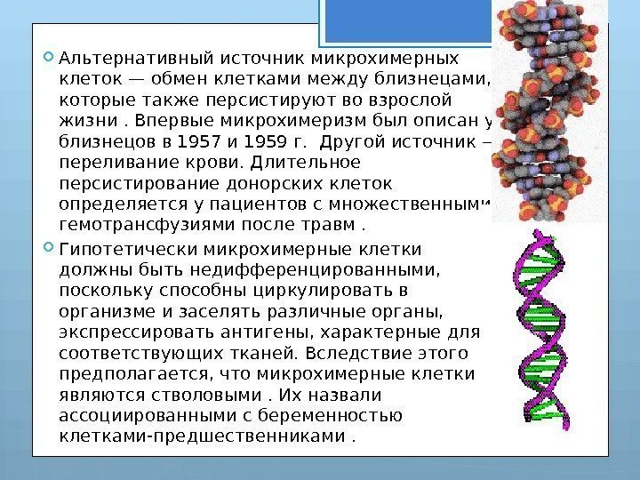  Альтернативный источник микрохимерных клеток — обмен клетками между близнецами,  которые также персистируют