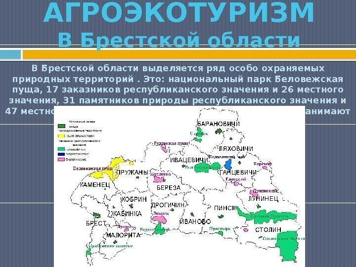 В Брестской области выделяется ряд особо охраняемых природных территорий. Это: национальный парк Беловежская пуща,