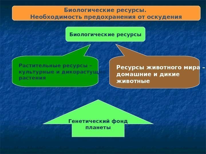 Биологические ресурсы.  Необходимость предохранения от оскудения Биологические ресурсы Растительные ресурсы – культурные и