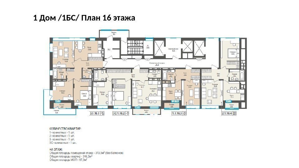 1 Дом /1 БС/ План 16 этажа 