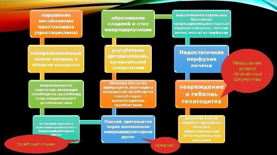 тромбоцитопения гемолиз Повышение уровня печеночных ферментов 