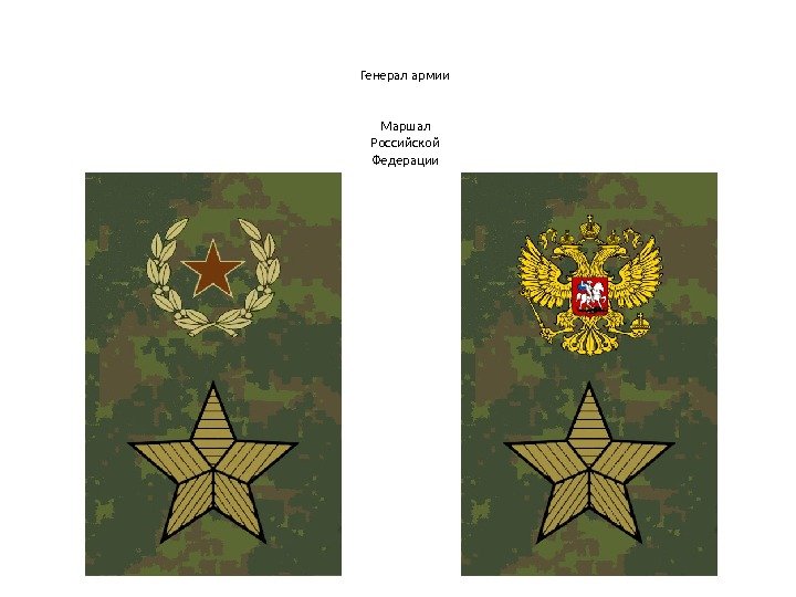 Генерал армии Маршал Российской Федерации 