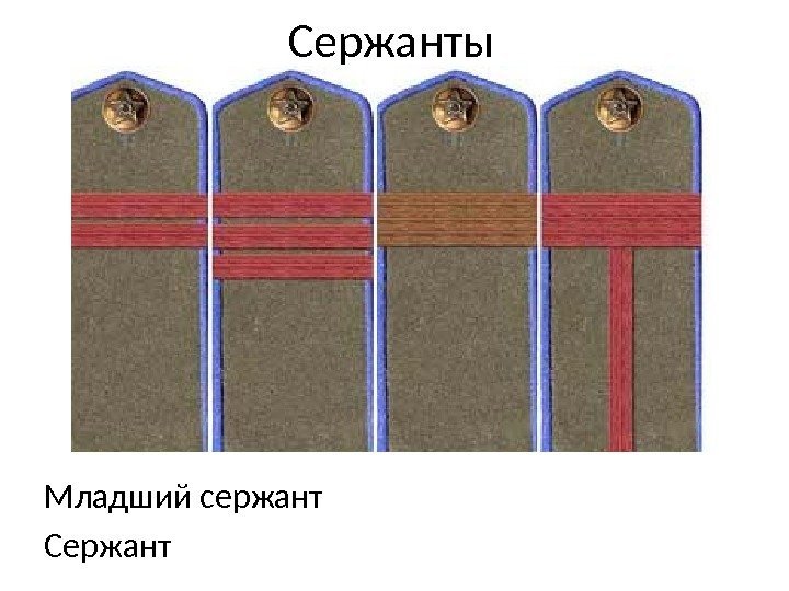 Сержанты Младший сержант Старший сержант Старшина 