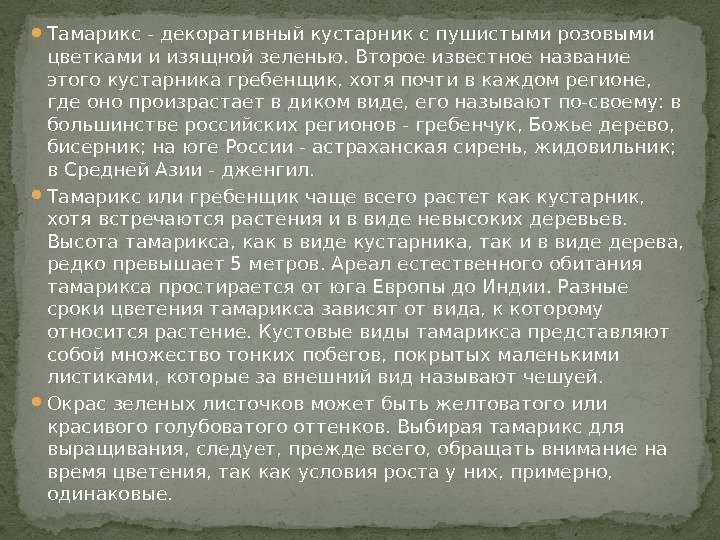  Тамарикс - декоративный кустарник с пушистыми розовыми цветками и изящной зеленью. Второе известное