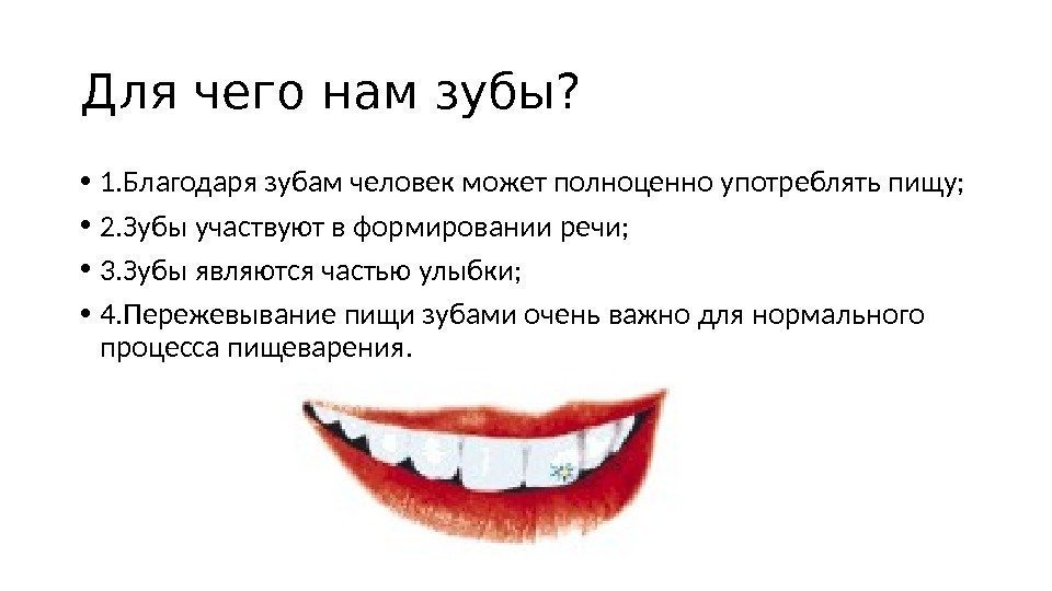 Для чего нам зубы?  • 1. Благодаря зубам человек может полноценно употреблять пищу;