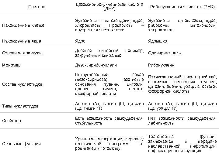 Признак Дезоксирибонуклеиновая кислота (ДНК) Рибонуклеиновая кислота (РНК) Нахождение в клетке Эукариоты – митохондрии, 