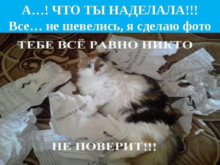 А…! ЧТО ТЫ НАДЕЛАЛА!!! Все… не шевелись, я сделаю фото 