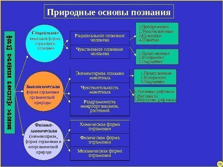 Природные основы познания Социальна я  (высшая) форма отражения.  познания  Биологическая форма