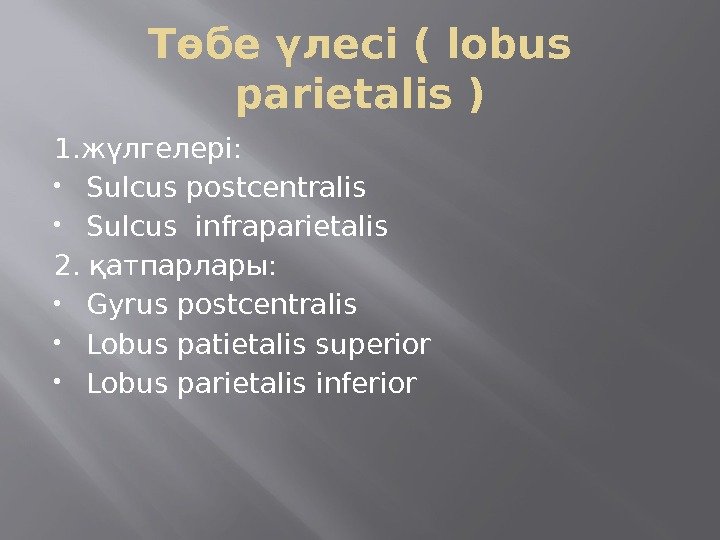 Төбе үлесі ( lobus parietalis ) 1. жүлгелері:  Sulcus postcentralis Sulcus infraparietalis 2.