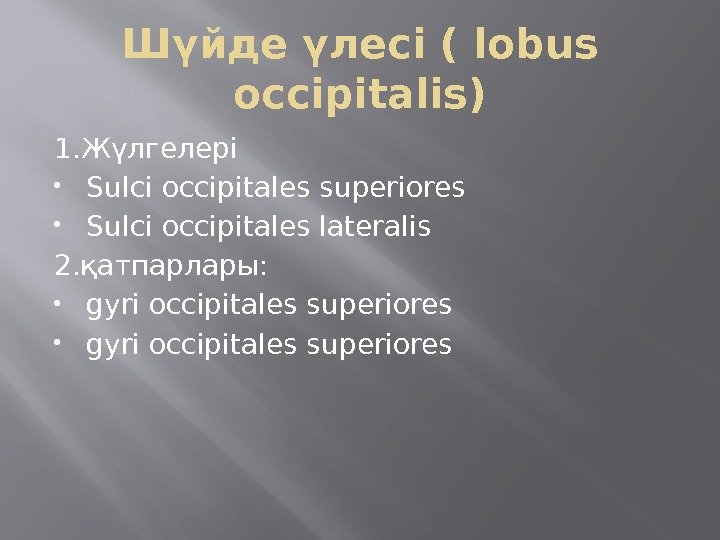 Шүйде үлесі ( lobus occipitalis) 1. Жүлгелері Sulci occipitales superiores Sulci occipitales lateralis 2.