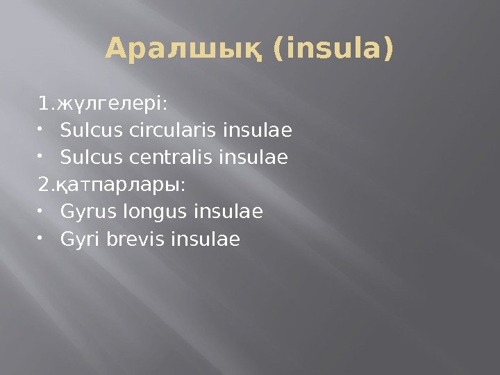Аралшық (insula) 1. жүлгелері:  Sulcus circularis insulae Sulcus centralis insulae 2. қатпарлары: 