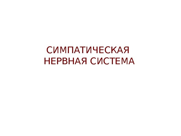   СИМПАТИЧЕСКАЯ НЕРВНАЯ СИСТЕМА 