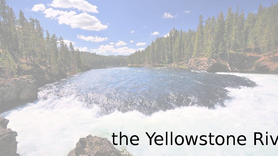 the. Yellowstone River 