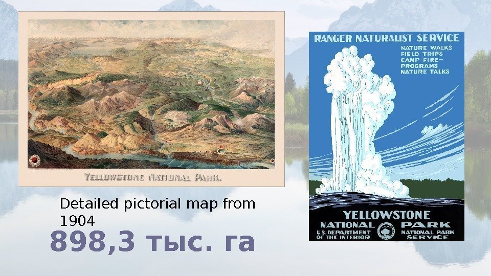 Detailed pictorial map from 1904 898, 3 тыс. га 