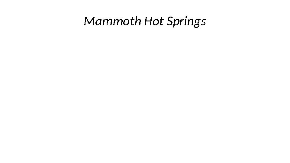 Mammoth Hot Springs 