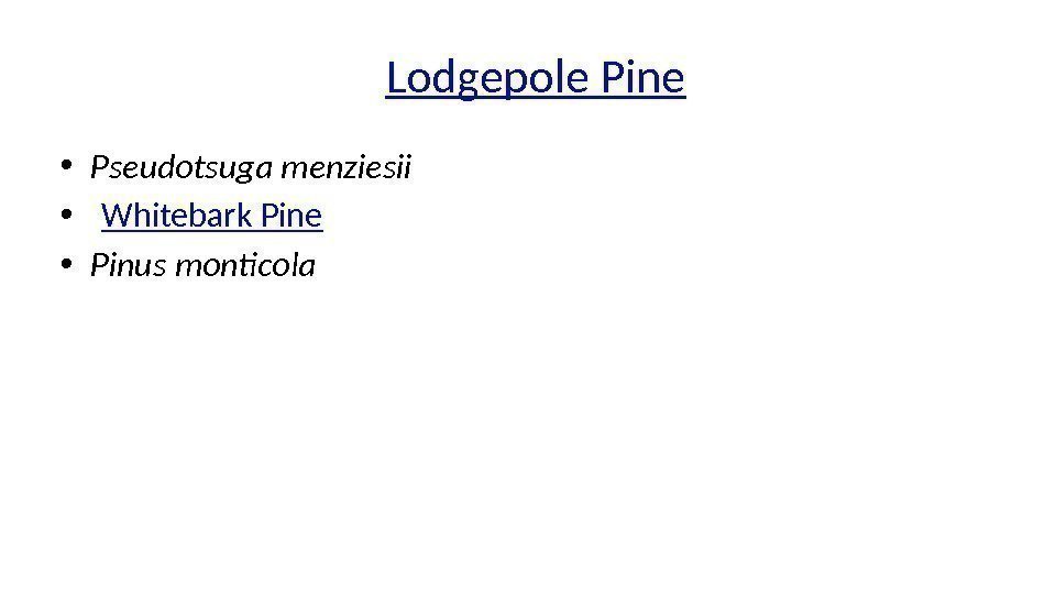  Lodgepole Pine • Pseudotsuga menziesii •  Whitebark  Pine • Pinus monticola