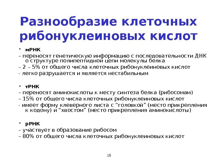 16 Разнообразие клеточных рибонуклеиновых кислот • м. РНК  – переносят генетическую информацию с