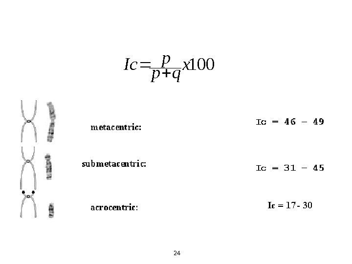 24100 x qp p Ic  