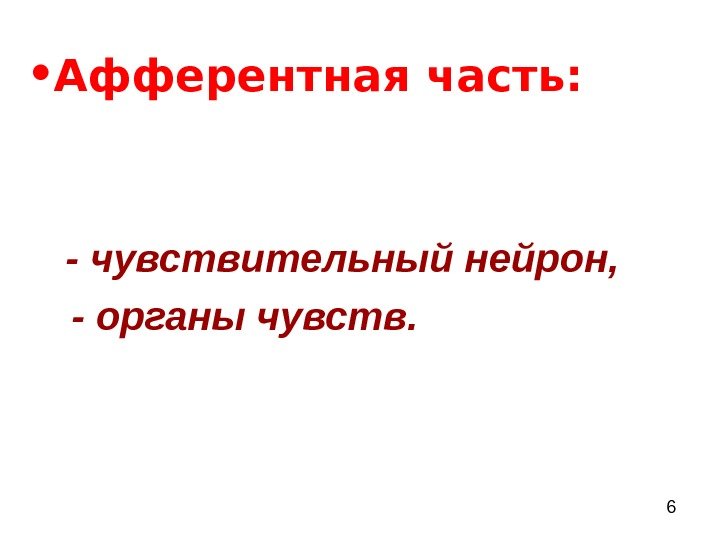  6 • Афферентная часть:  -  чувствительный нейрон,   - органы