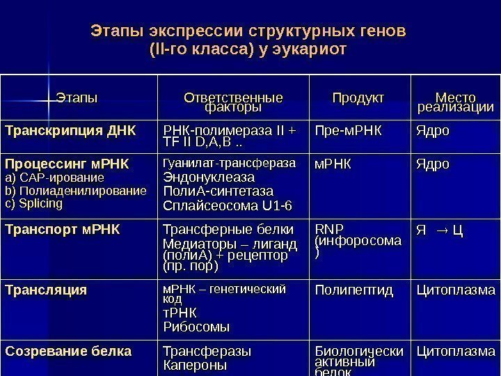 Этапы Ответственные факторы Продукт Место реализации Транскрипция ДНК РНК-полимераза II + TF II D,