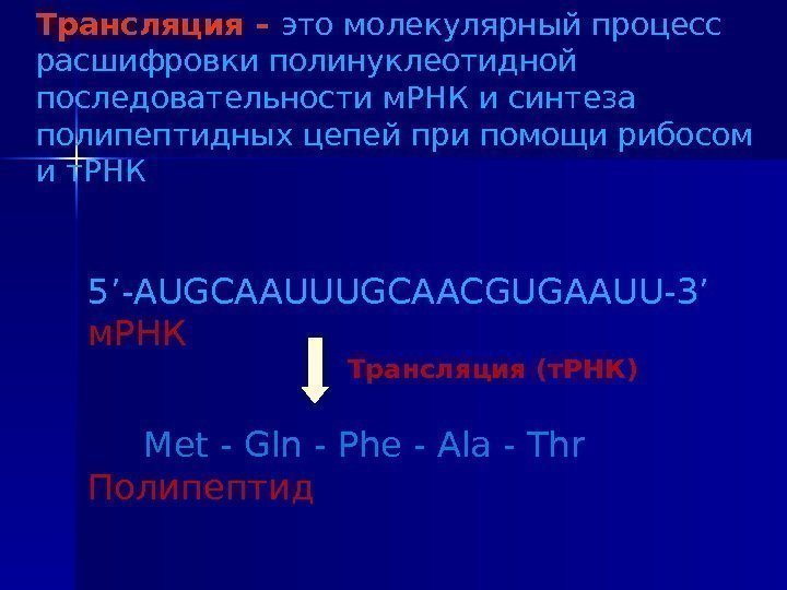 Трансляция – это молекулярный процесс расшифровки полинуклеотидной последовательности м. РНК и синтеза полипептидных цепей